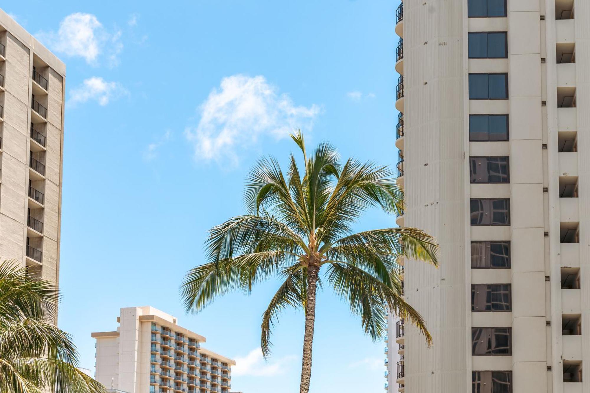 Waikiki Escapade Mountain Views Condo, Steps To Beach With Parking Perk Honolulu Esterno foto